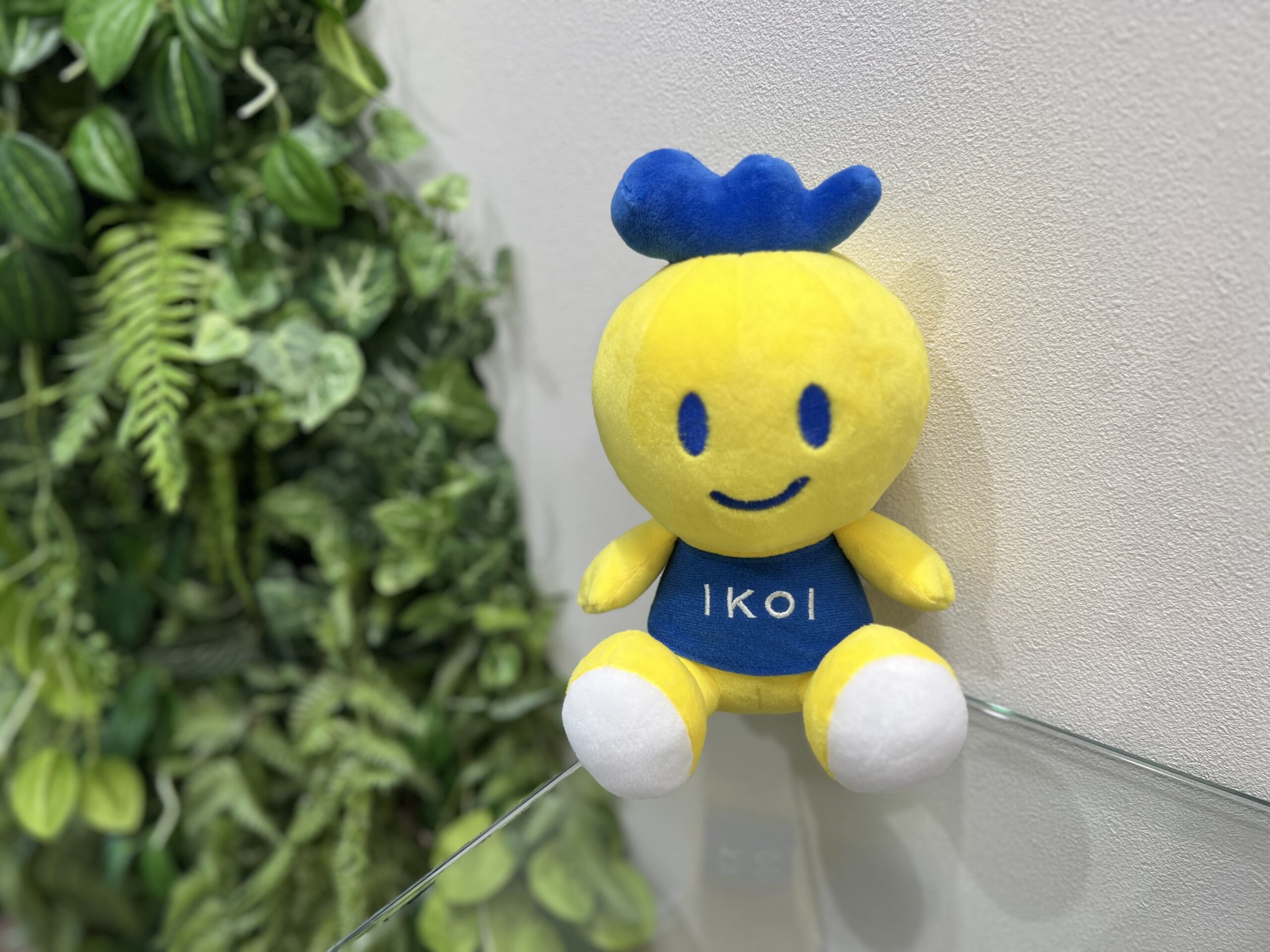 IKOI GROUP 夏のインターンシップ開催決定！